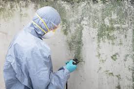 Best Mold Removal for HVAC Installations  in USA